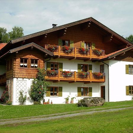 Gaestehaus Apfelbacher Spiegelau Zewnętrze zdjęcie